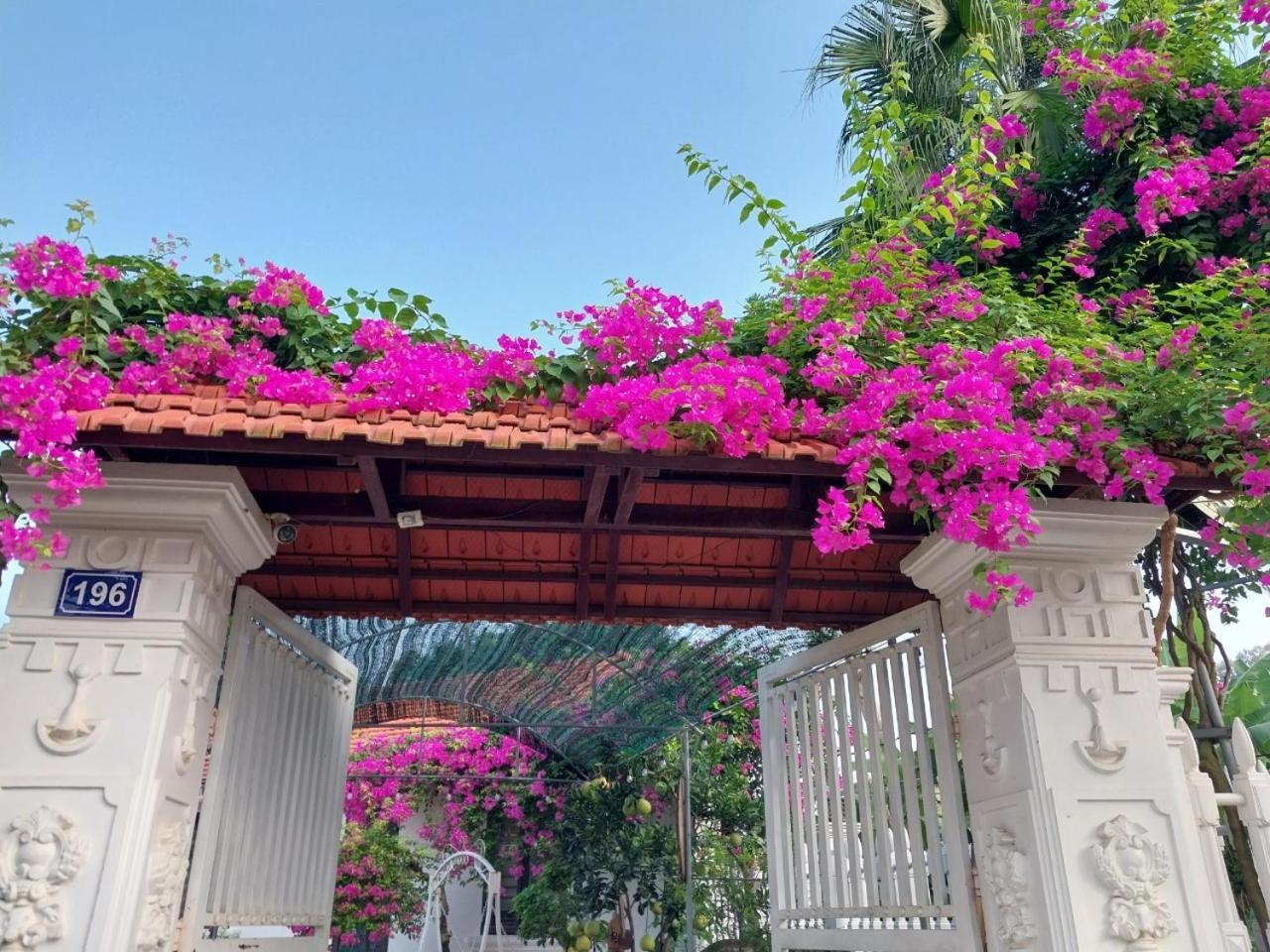 Nha Xanh Homestay Ninh Binh Exterior photo